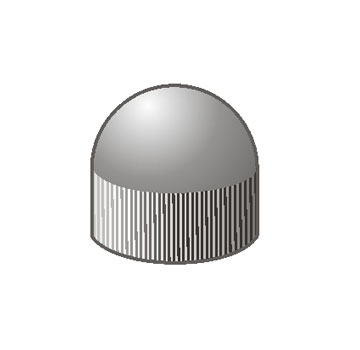 DOME 19